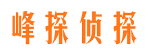 隆化侦探公司